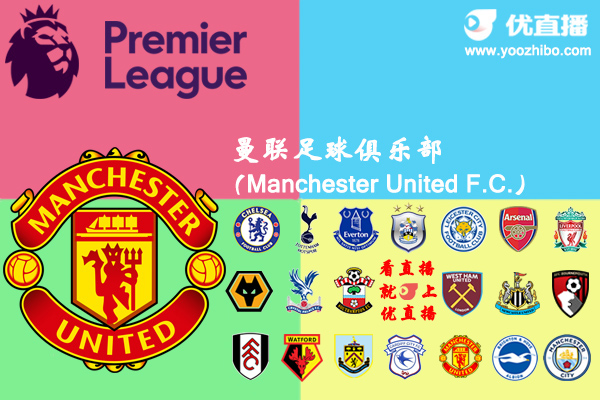 2018-19賽季曼聯陣容名單一覽