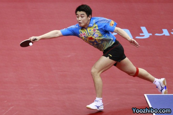 2009年世乒賽 男單決賽 王皓vs王勵勤