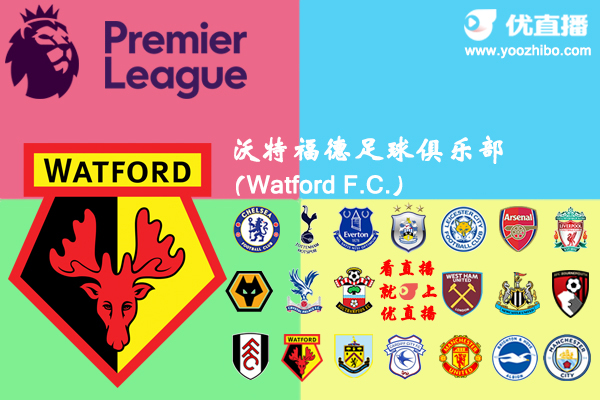 2018-19賽季沃特福德陣容名單一覽