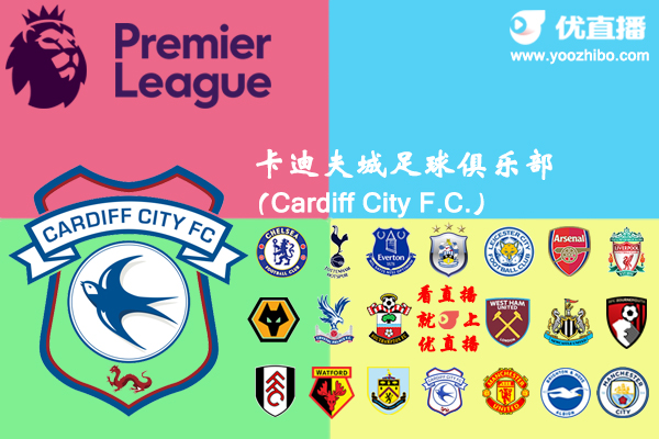 2018-19賽季卡迪夫城陣容名單一覽