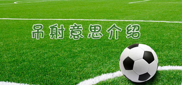 吊射是什么意思_足球比賽吊射意思介紹