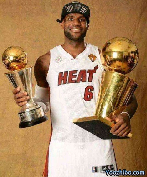 2011-12賽季NBA總決賽最有價值球員(FMVP),詹姆斯當選