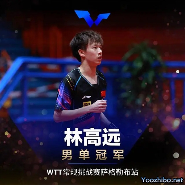 樊振東vs林高遠 全場錄像