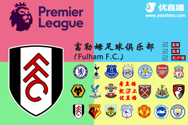 2018-19賽季富勒姆陣容名單一覽