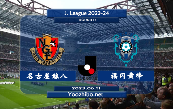 名古屋鯨八vs福岡黃蜂賽事前瞻分析