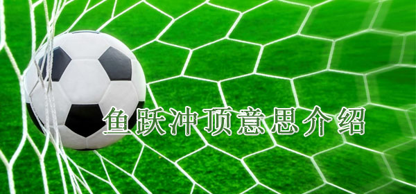 足球專業術語-魚躍沖頂意思介紹