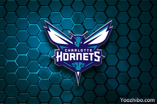 2019-2020賽季<a href=/lanqiubs/hornets/ target=_blank class=infotextkey>黃蜂</a>隊隊徽