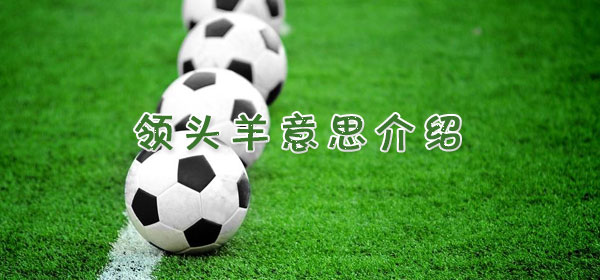 足球專業術語-領頭羊意思介紹