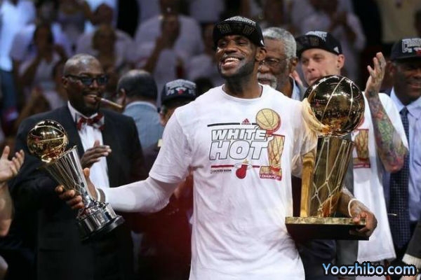 2012-13賽季NBA總決賽最有價值球員(FMVP),詹姆斯當選